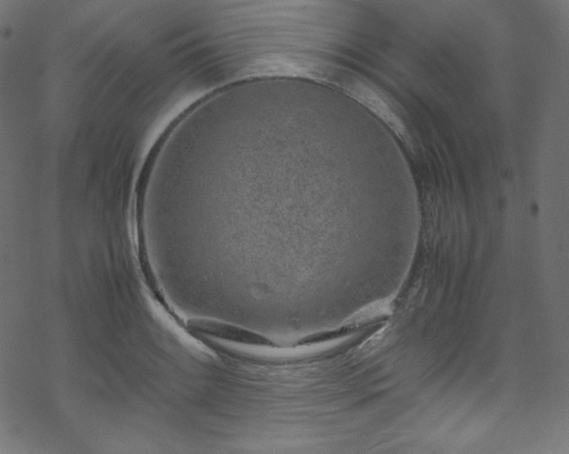 X0000070231084200605301449