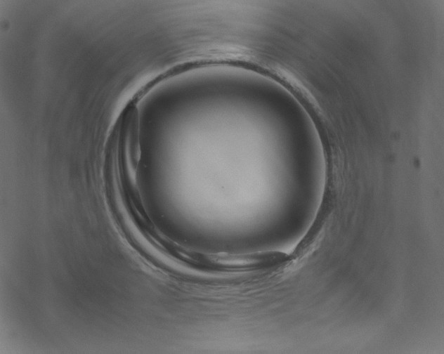 X0000070231085200605301449