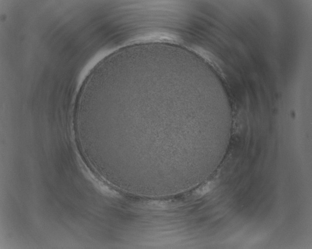 X0000070231086200605301449