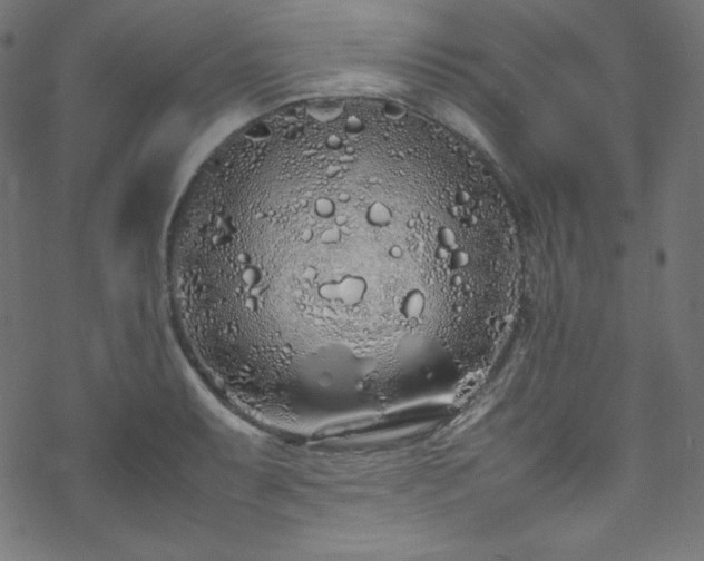 X0000070231087200605301449