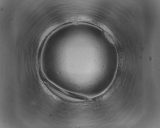 X0000070231088200605301449