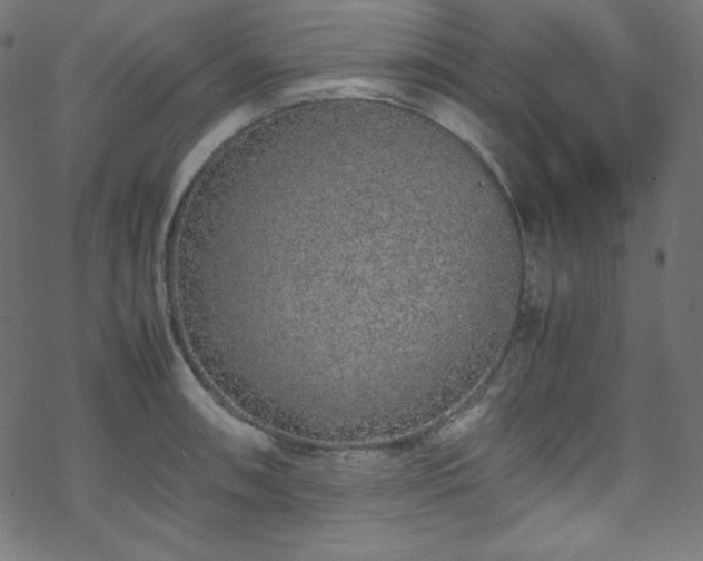 X0000070231090200605301449