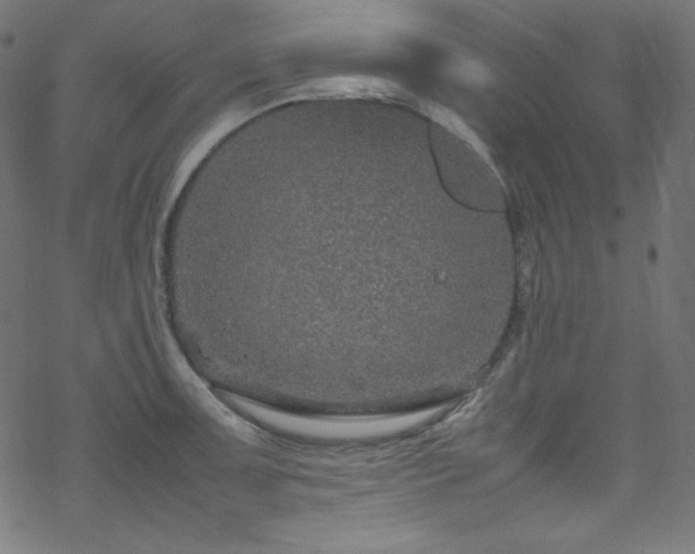 X0000070231091200605301449