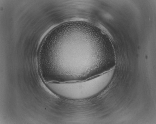 X0000070231092200605301449