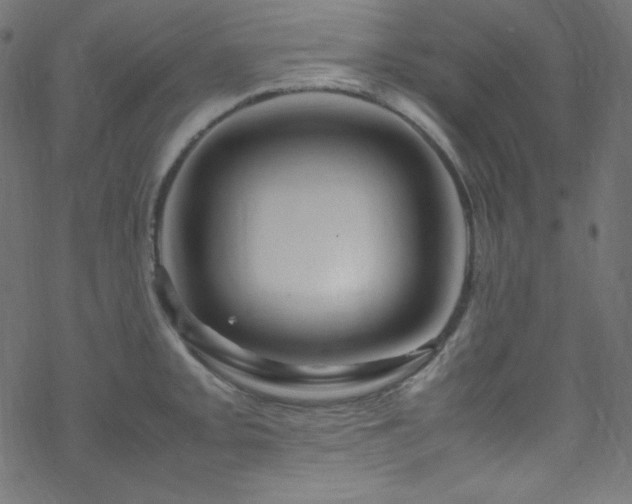 X0000070231093200605301449