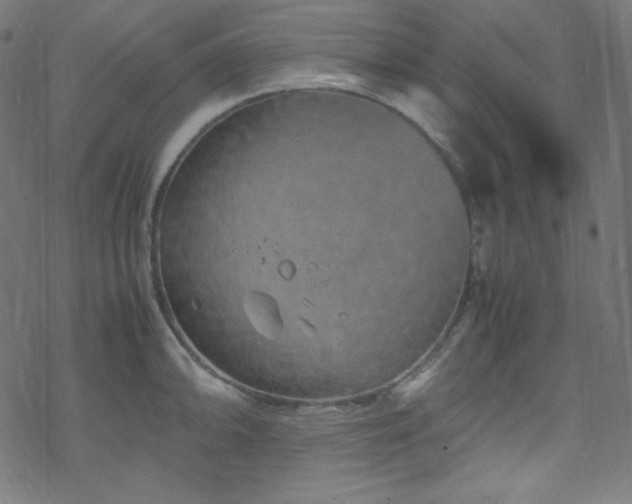 X0000070231094200605301449