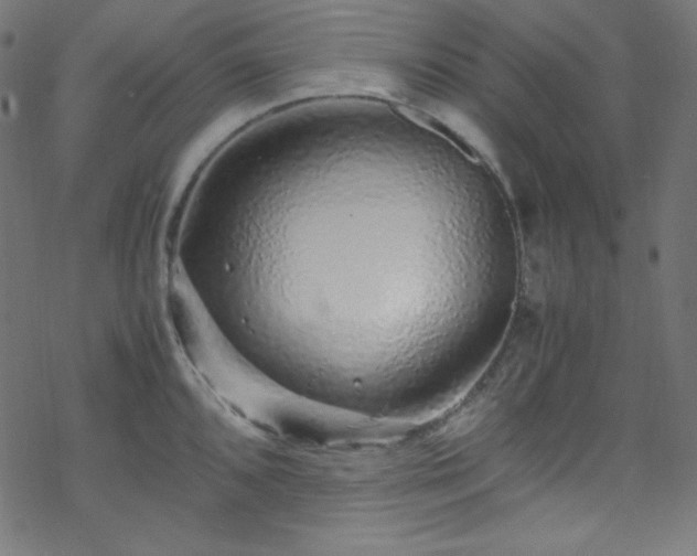 X0000070231096200605301449