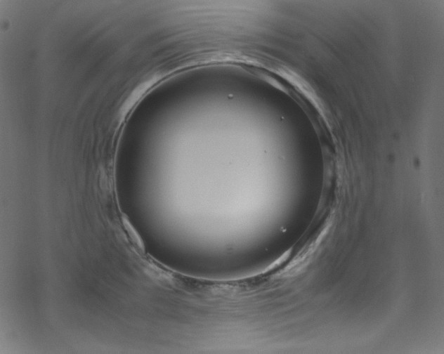 X0000070231097200605301449