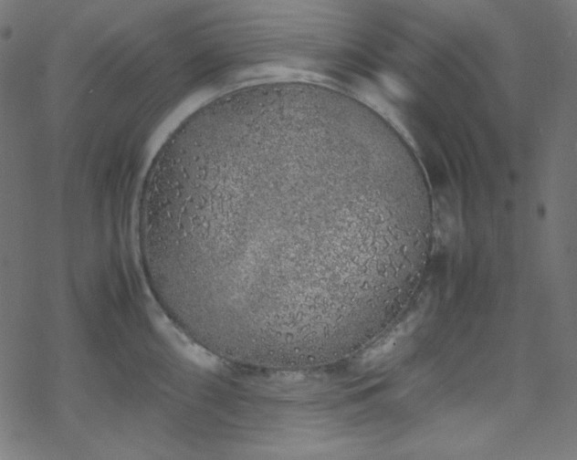 X0000070231098200605301449