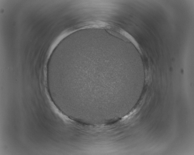 X0000070231099200605301449