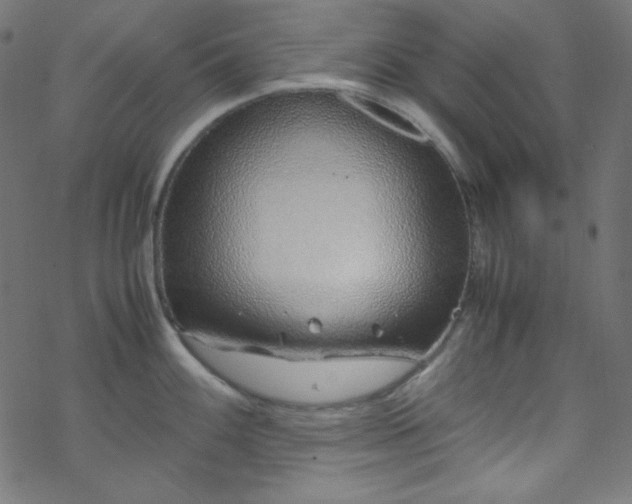 X0000070231100200605301449