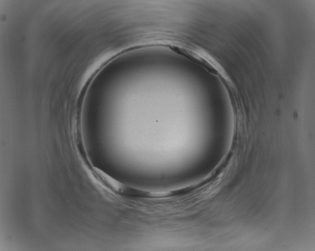 X0000070231101200605301449