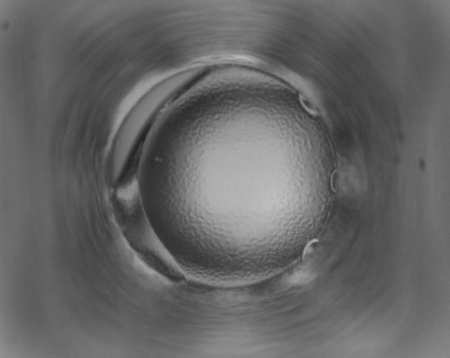 X0000070231102200605301449