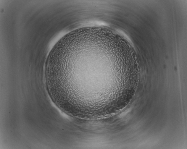 X0000070231103200605301449