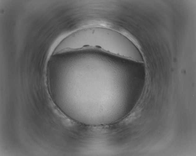 X0000070231104200605301449