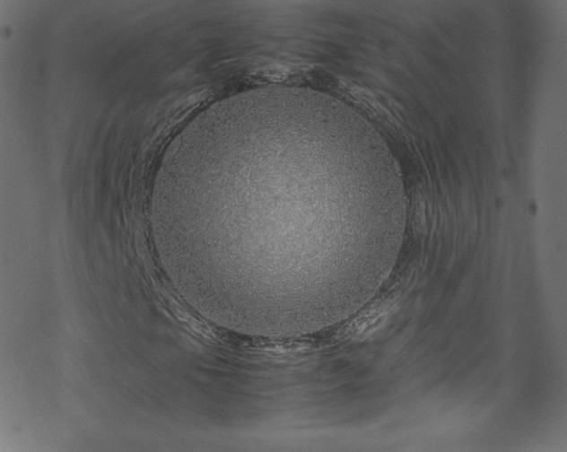 X0000070231105200605301448