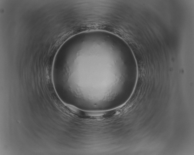 X0000070231106200605301448