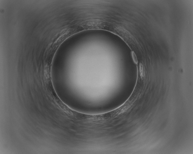 X0000070231107200605301448