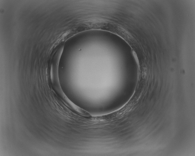 X0000070231108200605301448