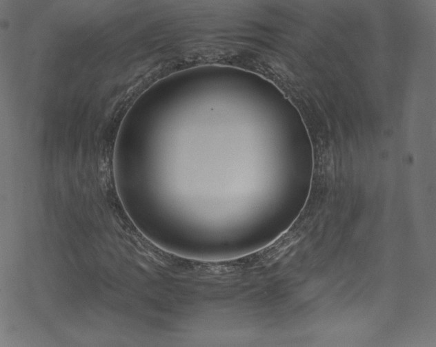 X0000070231109200605301448