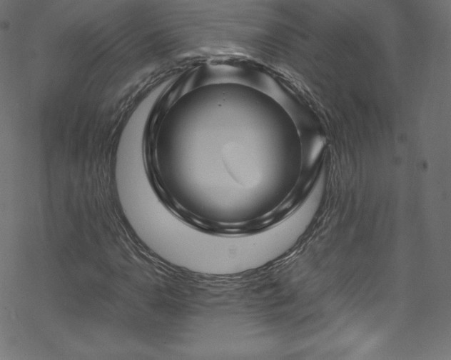 X0000070231110200605301448