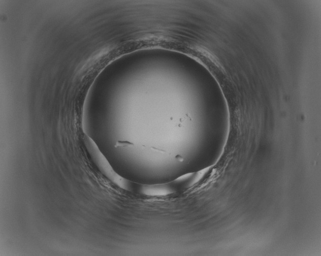 X0000070231111200605301448