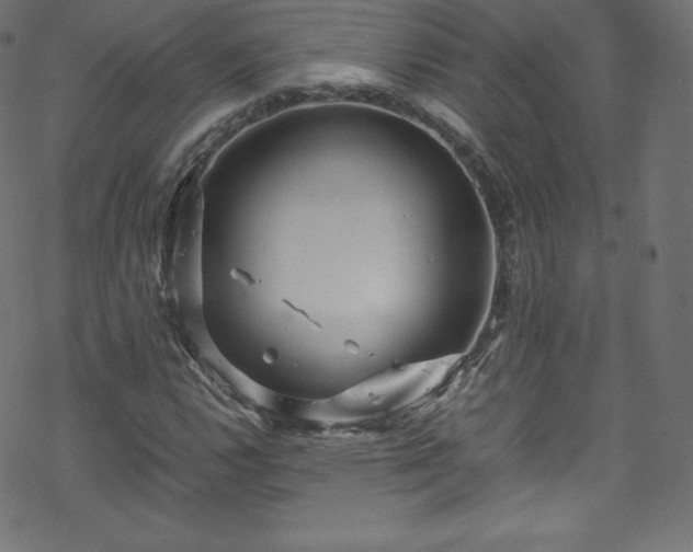 X0000070231112200605301448