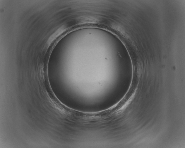 X0000070231113200605301448