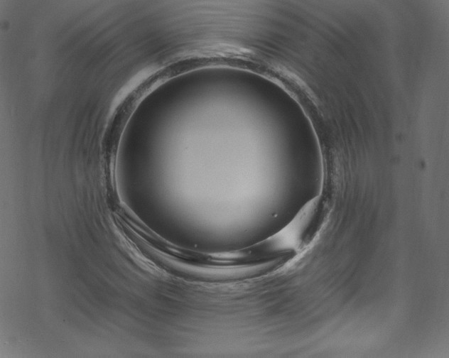 X0000070231114200605301448