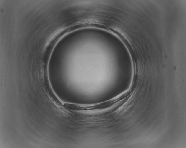 X0000070231115200605301448