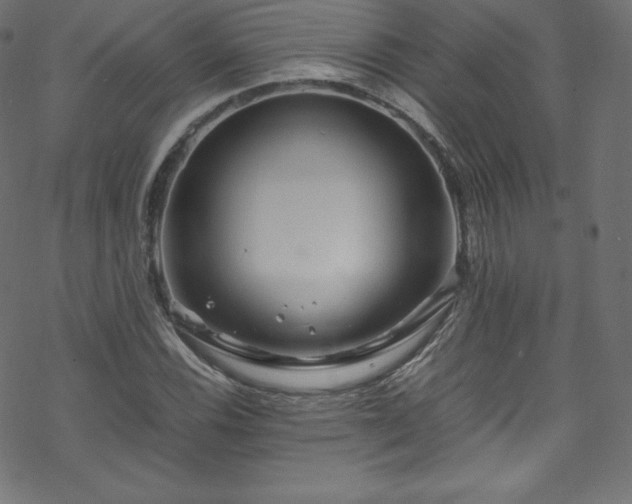 X0000070231116200605301448