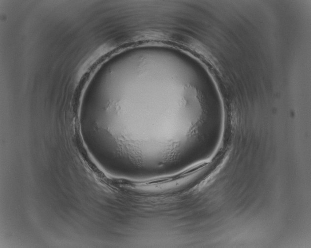 X0000070231117200605301448