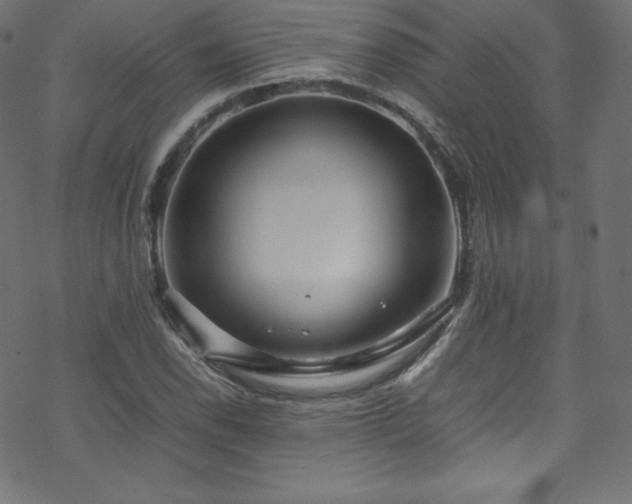 X0000070231118200605301449