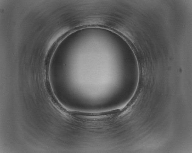 X0000070231119200605301449