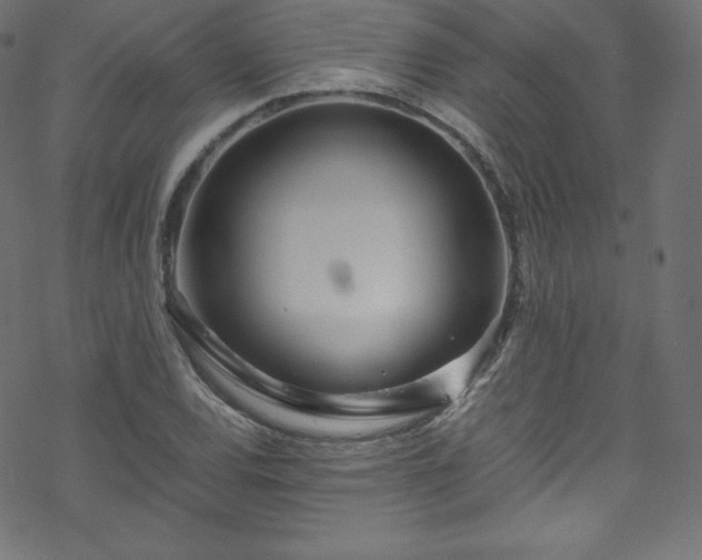 X0000070231120200605301449