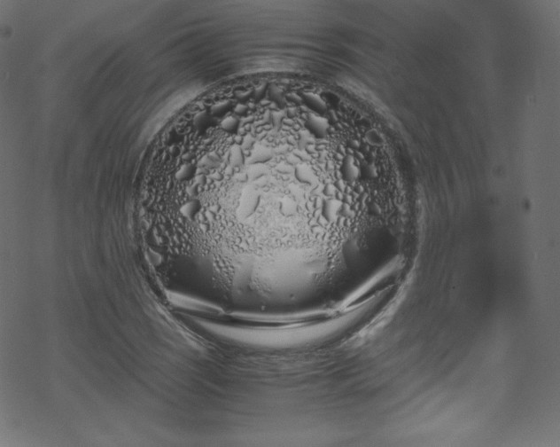 X0000070231121200605301449