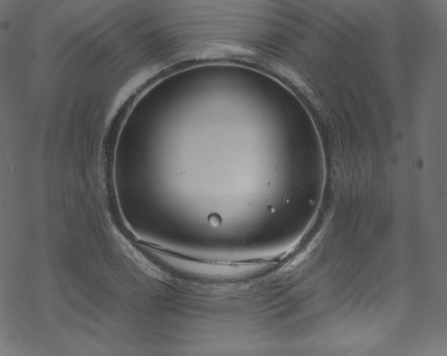 X0000070231122200605301449