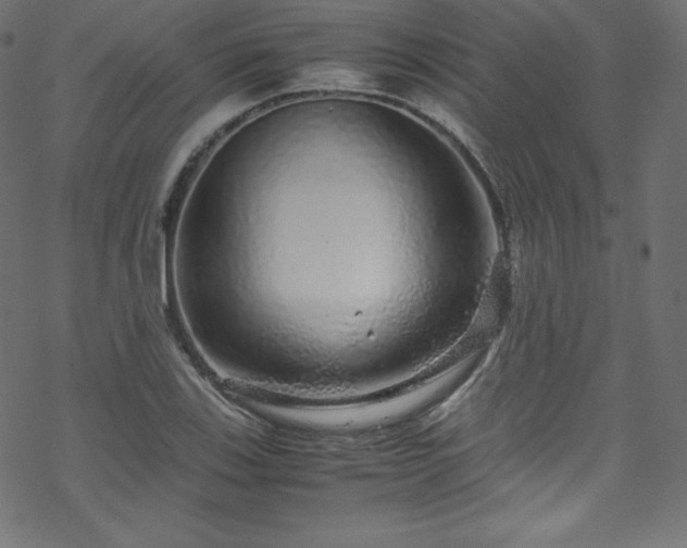 X0000070231123200605301449