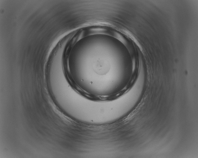 X0000070231124200605301449