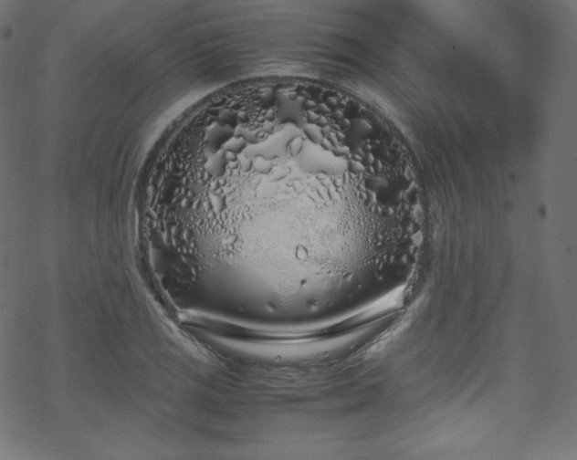 X0000070231125200605301449