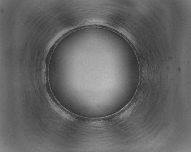 X0000070231126200605301449