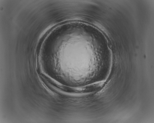 X0000070231127200605301449