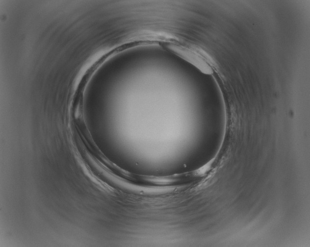 X0000070231128200605301449