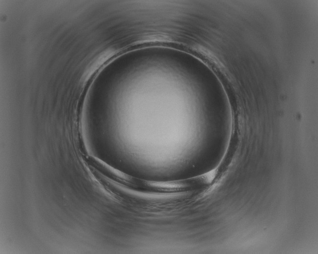 X0000070231129200605301449