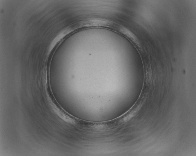 X0000070231130200605301449