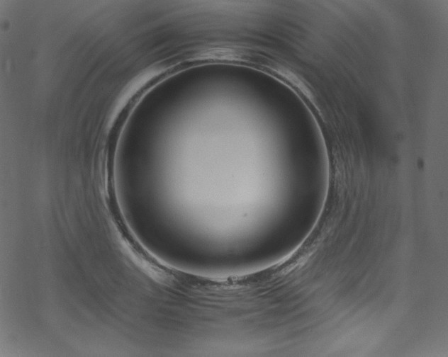 X0000070231131200605301449