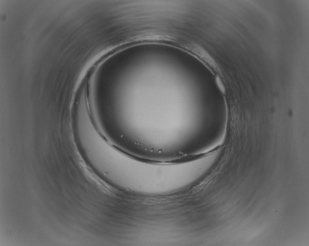 X0000070231132200605301449