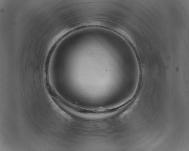 X0000070231133200605301449