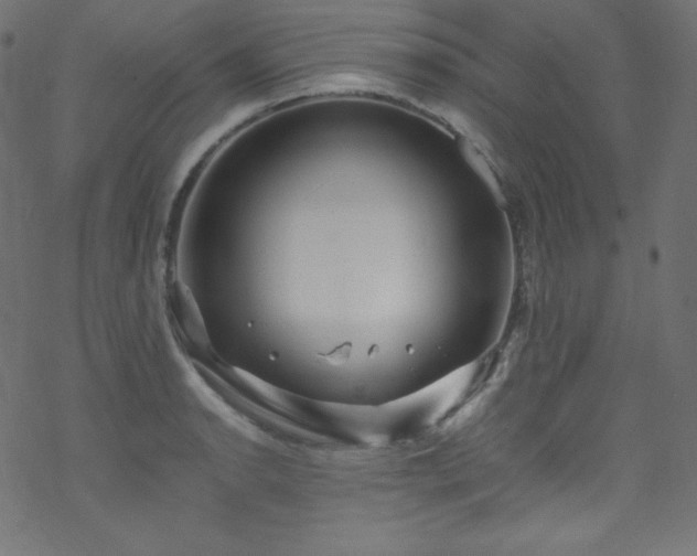 X0000070231134200605301449