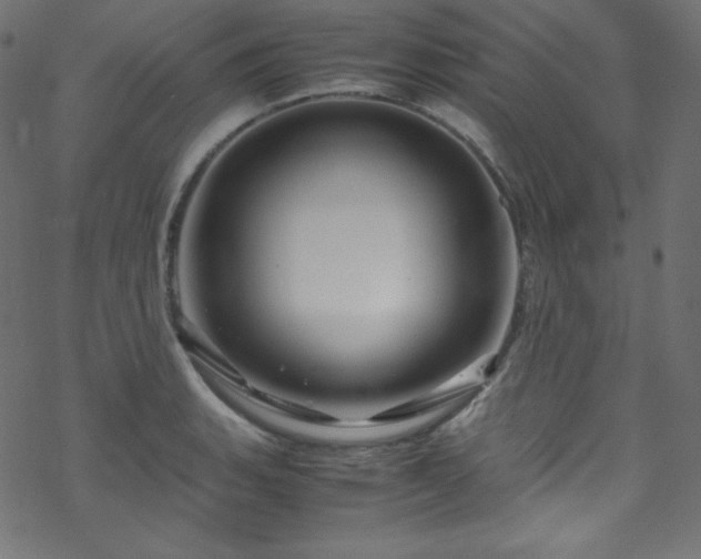 X0000070231135200605301449